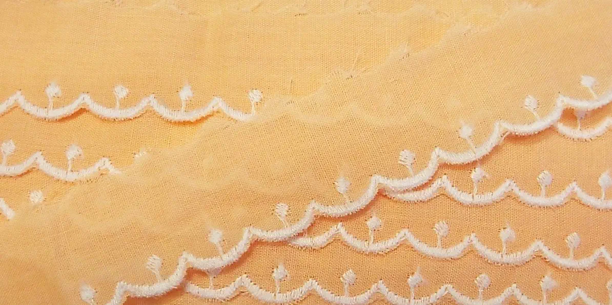 Baumwollspitze 25 mm apricot mit weißer Bogenkante