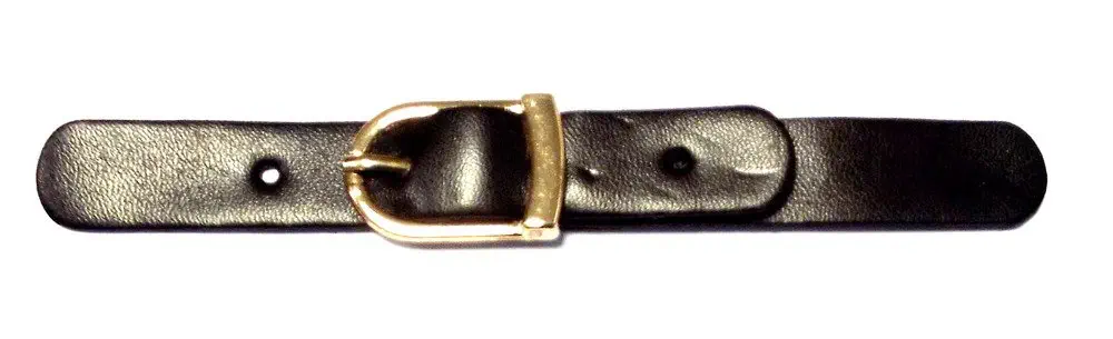 Bekleidungsverschluss schwarz/gold 110 x 20 mm