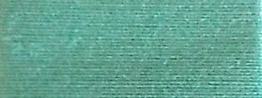 Maschinenstickgarn 1000 m mint col. 281 100 % Polyester 40er